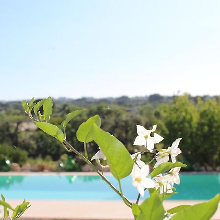 Trullo Il Melograno Guest House Остуни Екстериор снимка