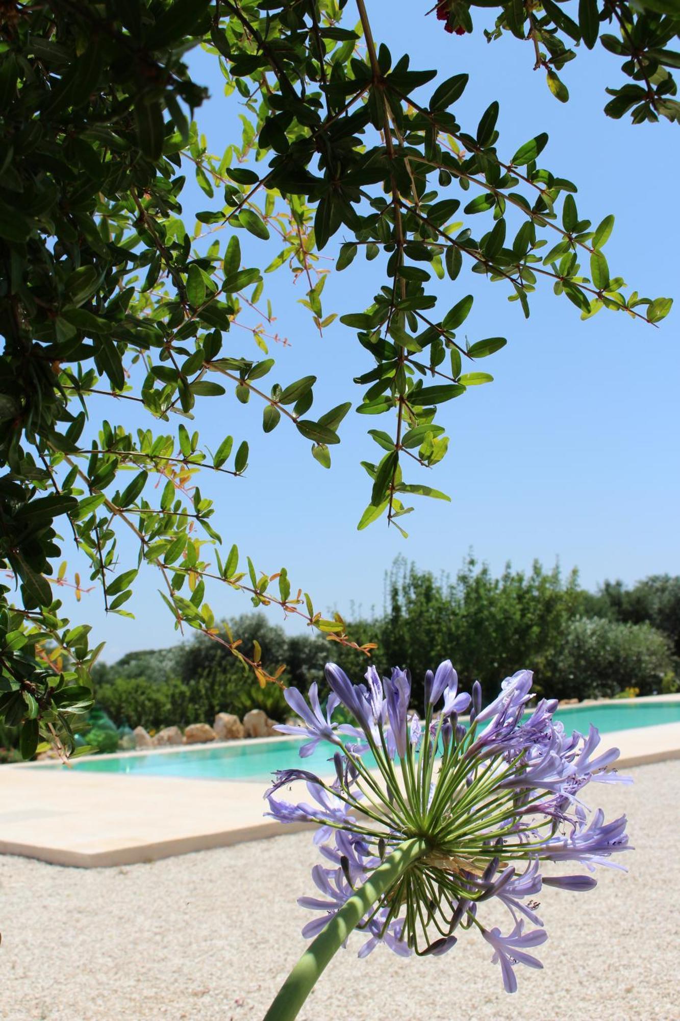 Trullo Il Melograno Guest House Остуни Екстериор снимка